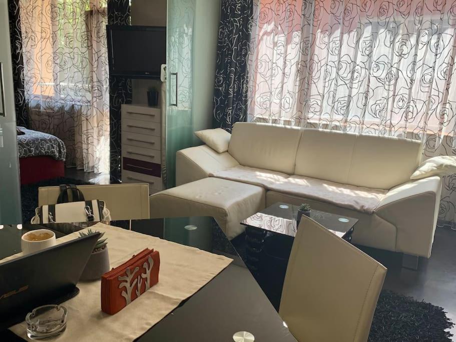 Lovely Sofia Apartment Katerina With Free Parking Esterno foto